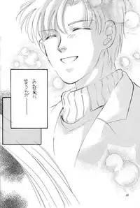 (C43) [Y'S COMPANY (Araki You)] HONEY PIE (Bishoujo Senshi Sailor Moon)