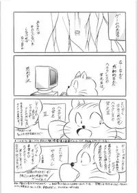 C-COMPANY SPECIAL STAGE 10