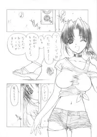 (C67)[UROBOROS] Hanafubuki (Dead or Alive)