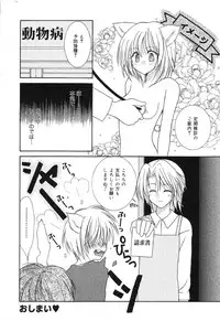 [Anthology] Pure Petit Vol. 6