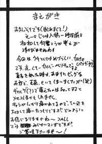 [ZINZIN (Hagure Metal)] Fate/pillowtalk (Fate/stay night)
