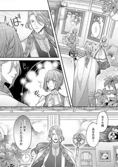 Nene to Ikoku no Mahoutsukai Isekai ni Shoukan Sareta to Omottara, Naze ka Koneko to shite Aigan Saretemasu 1-5