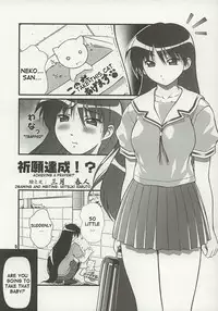 (C62) [OTOGIYA (Mizuki Haruto)] Nyangirass Daioh (Azumanga Daioh) [English]