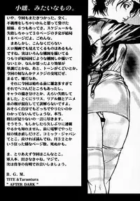 (C52) [TEX-MEX, TRIAD (Various)] FROM DUSK (Darkstalkers)