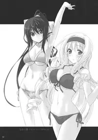 (C80) [Himura Nyuugyou (Himura Kiseki)] Yuuzai Shouko Bukken Sangou (IS <Infinite Stratos>)