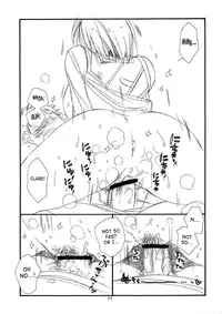 (C72) [Tenkaichi Baby's (BENNY'S, Inomoto Rikako)] MORE BOOK (Claymore) [English] [SaHa]