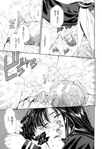 [Seto Yuuki] Accelerando