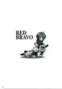 (C68) [AKKAN-Bi PROJECT (Yanagi Hirohiko)] RED BRAVO (Mobile Suit Gundam Seed Destiny)