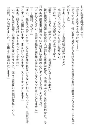 年上メイドの新婚日記
