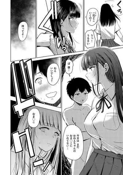 [Nishizawa Mizuki] Sokuhame! Harem [Digital]
