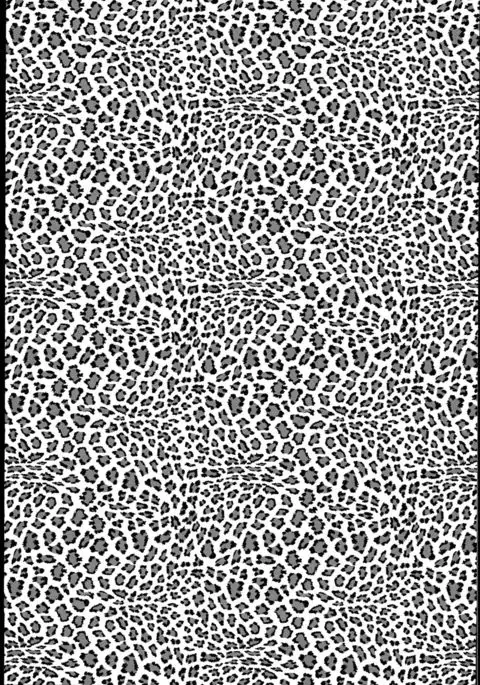 Kawakaze, Kai Ni ni Narutte yo.