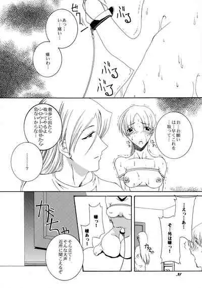 (CR33) [F-A (Honoutsukai)] Xs