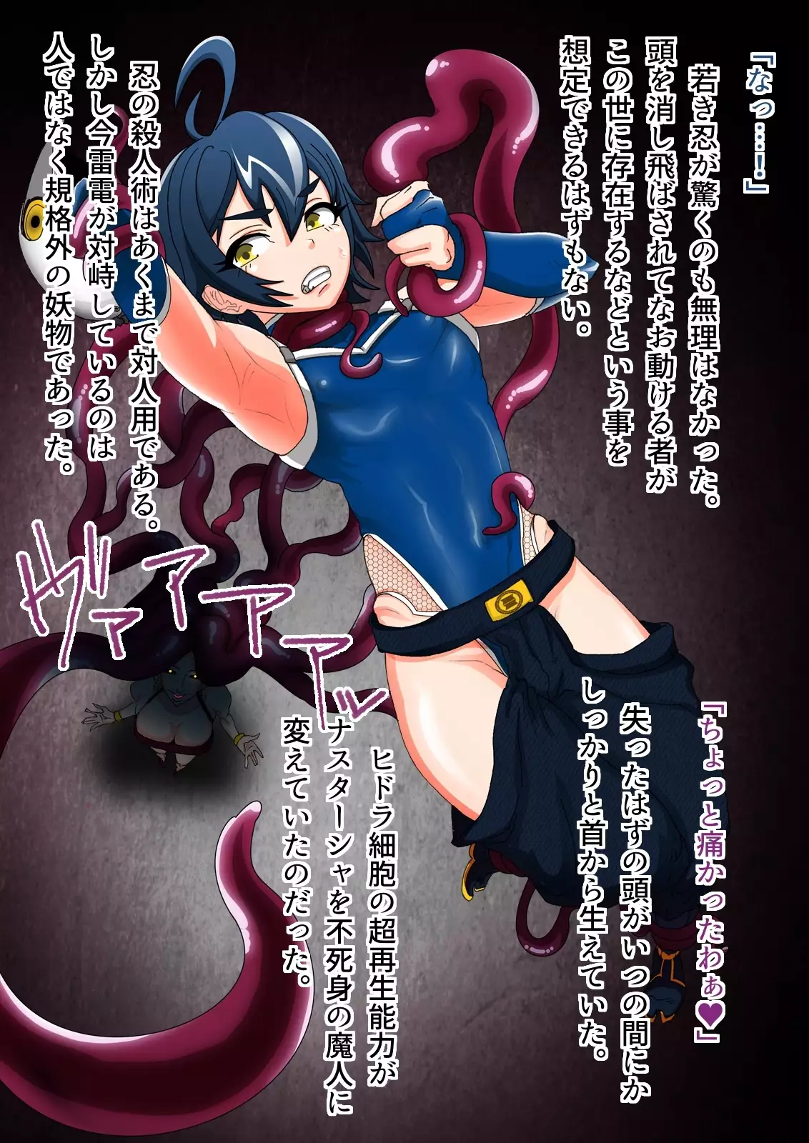 Tokumei Ninja Raiden