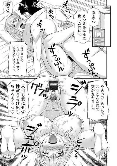 Innyu Shufu no Futei Ganbou