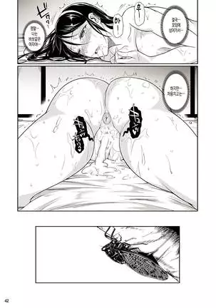 Touchuukasou | 동충화초 series