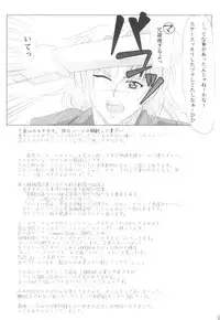 (C69) [Amusement Engineering (Serizawa Houri)] Shougai Chuusei act-3 (Full Metal Panic!)