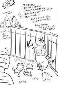 (COMIC1☆8) [chocolate Lv.5 (dynamite moca)] Match Uri no Otokonoko to Kime-seku! | Let's Drug and Fuck the Little Match Trap! [English]