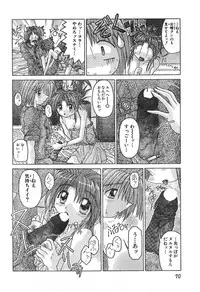 Men's Dolphin 2000-11 Vol. 15