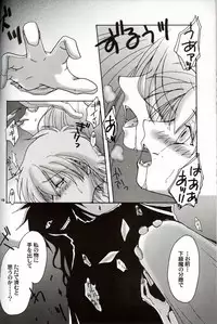 (C63) [NEKOYAGAKKITEN+Brough-Superior (Tsujisaki Sou)] Daydream, Nightmare -Night-Side- (Hellsing)