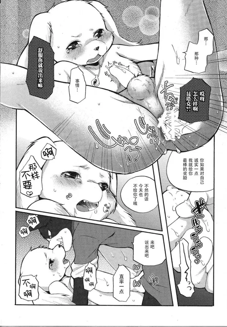 UNDER DOG