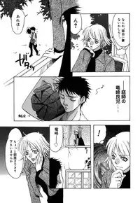 [Amano Tamaki] Bara no Shizuku
