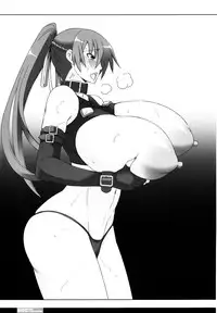 (C77) [HGH (HG Chagawa)] Pleated Gunner #20 Senshi no Himegoto (Mahou Shoujo Lyrical Nanoha)