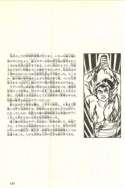 Gekiga Yapoo Shoutai