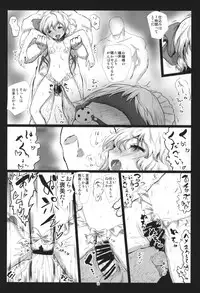 (C85) [Kuma no Mori (Kumataro)] FLESH HOLE (Touhou Project)