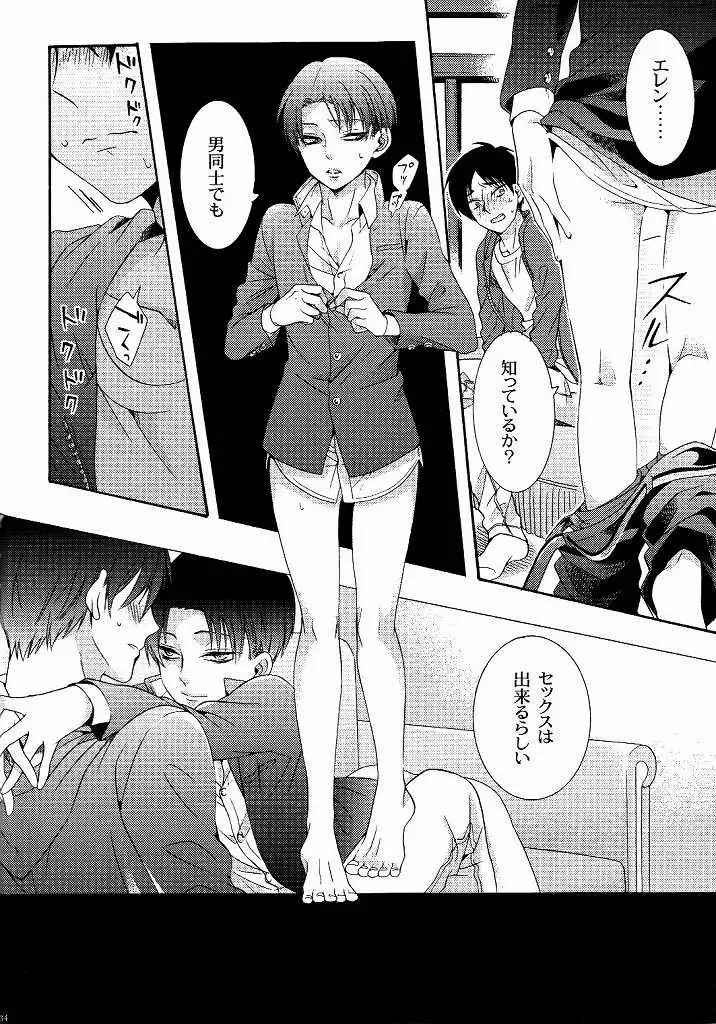 向日葵の咲く冬