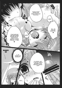 (COMIC1☆5) [Usubeniya (Usubeni Sakurako)] Shinkou no Tamamono (Touhou Project) [English] [CGrascal]