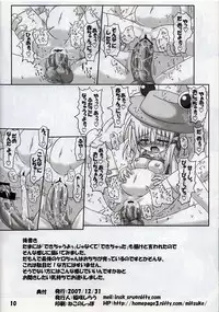 (C73) [Schwester (Shirau Inasaki) Rollin 28 (Touhou Project)