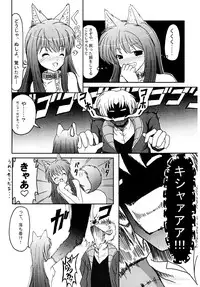 (SC40) [Irohadou (Shiiguchi Iruha)] Ookami to Ai no Kusari (Spice and Wolf)