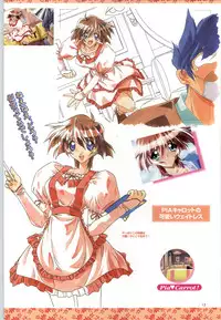 (一般画集) [F&C] バーチャコール シリーズ設定原画集