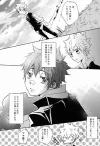 (C81) [Alpenreise (Ayano Ena)] Synchrotation (Katekyo Hitman REBORN!)