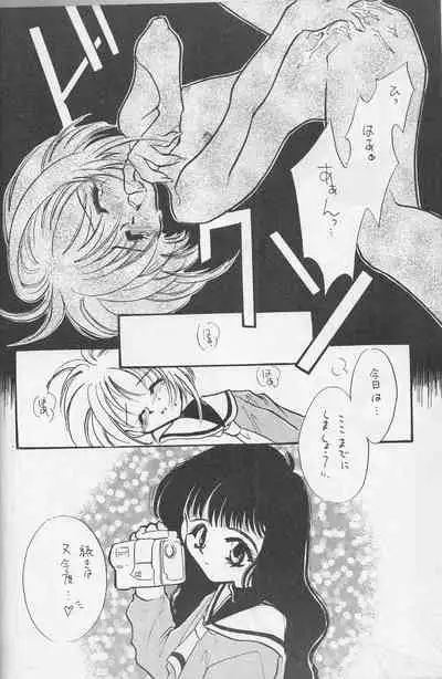 (C53) [FISH (Minoh Rom)] Trump Game (Cardcaptor Sakura)