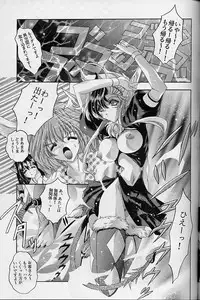 [スライム亭 林家ぺー] Ragdoll 8