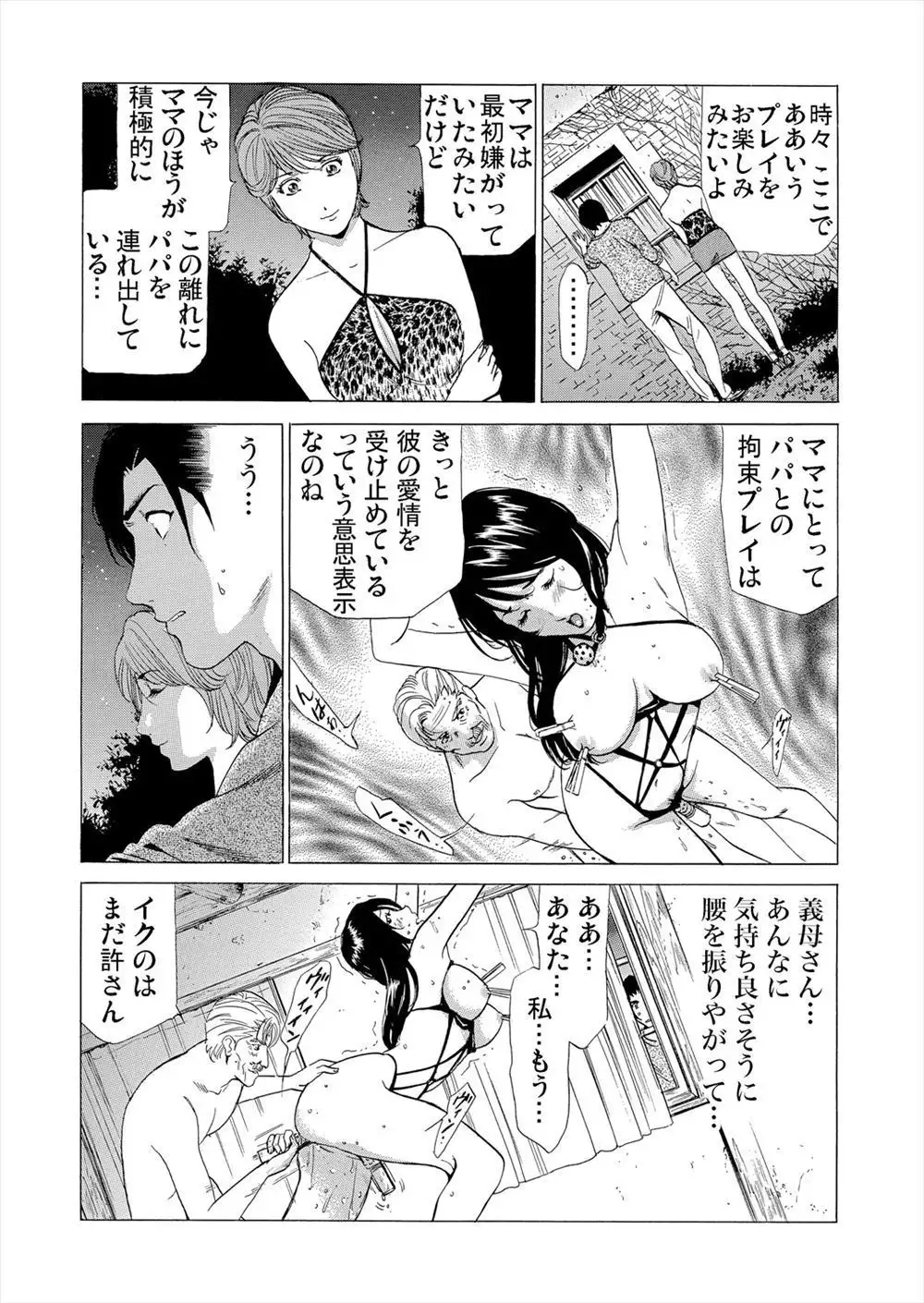 Gibo netori vol.2~ fukushū no yakata
