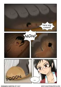 [CG17] Shrunken Survival