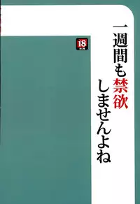 (C89) [UGC (Sasaki Akira)] Isshuukan mo Kinyoku Shitara, Gaman Dekimasen yo ne (Amagami)