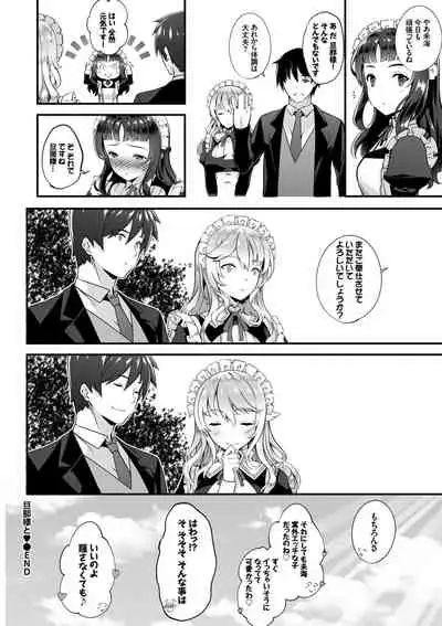 Nikutai Gohoushi ga Daisukikei Maid