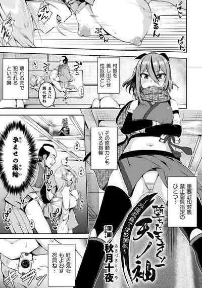 2D Comic Magazine Akuochi Haramase Seigi no Bishoujo Akuten Jutai Vol. 2