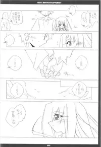 (C68) [THIRD BRAND (Katsumata Kazuki)] Illya Route Kouryaku! Kanzen Kanketsuban (Fate stay night)