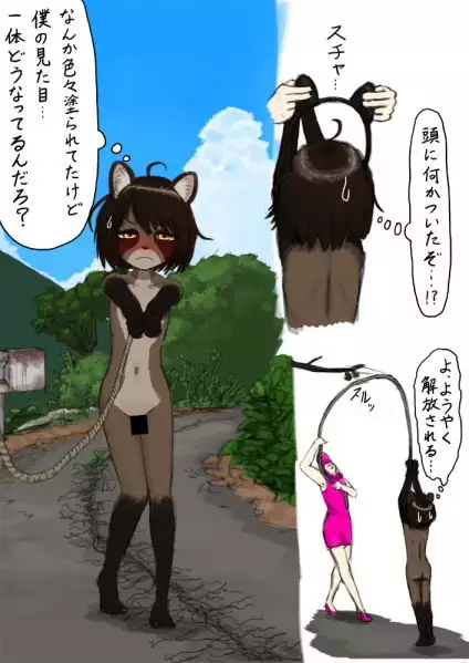 Moved to a country side, became a salacious raccoon.