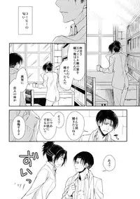 (C85) [RIX (Mamiya)] Ten ni Habataku Sono Hi Made (Shingeki no Kyojin)