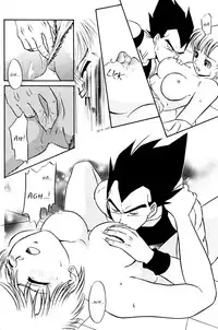 (C63) [Ryujin-kai (HITO Ribuki)] GIFT (Dragon Ball Z) [English] [Arigatomina]