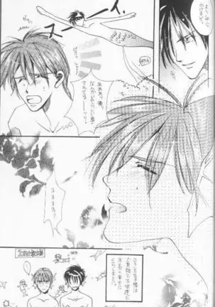 Tadashii Meruhien no Keikou to Taisaku