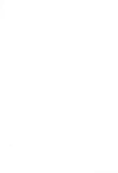 (Puniket 23) [GOD Ryokutya (Bu-chan)] Futaba no Oppai! (Mitsudomoe)