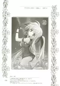 (C73) [PLUM (Kanna)] Mahou Shoujo Magical SEED Soushuuhen X (Mahou Shoujo Lyrical Nanoha)