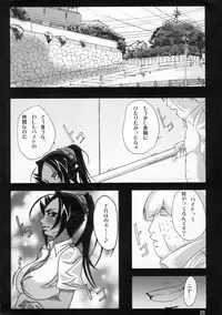 (C75) [Kairanban (Bibi)] Benten Kairaku 9 (Bleach, One Piece)