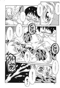 [Anthology] Pure Petit Vol. 6